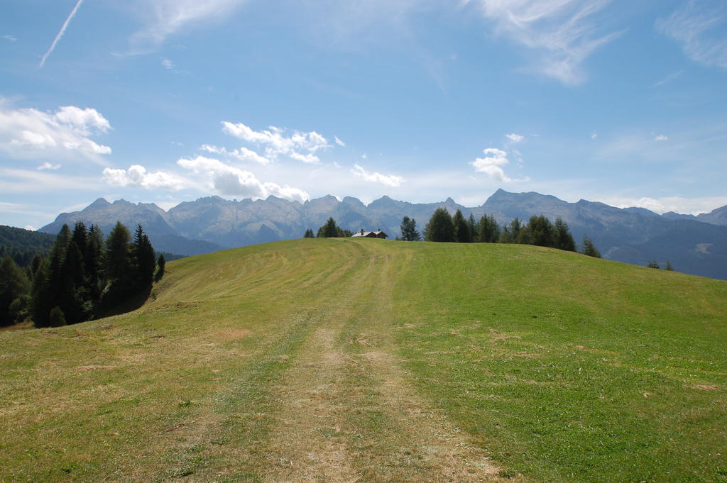 Cimon Dolomites Hotel เปรดัซโซ ภายนอก รูปภาพ