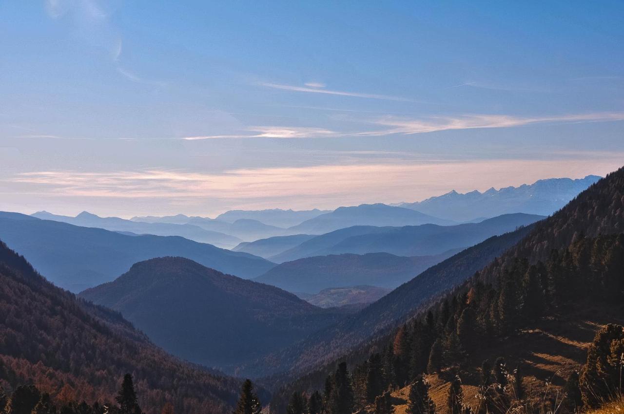 Cimon Dolomites Hotel เปรดัซโซ ภายนอก รูปภาพ